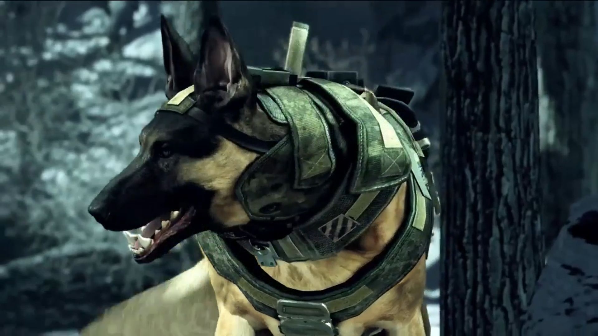 Chien Call of Duty Ghosts
